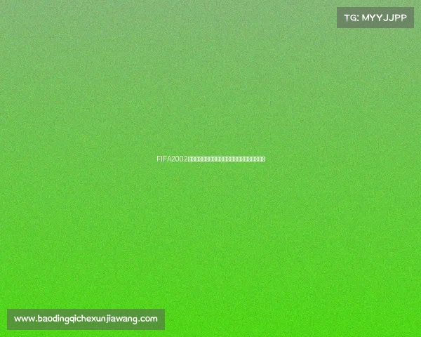 FIFA2002世界杯安卓经典足球游戏回顾与下载体验全解析版